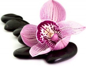 Duftöl schwarze Orchidee